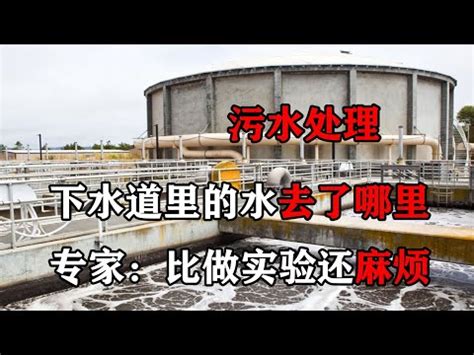 水溝水流去哪|城市中下水道里的水都去哪了？